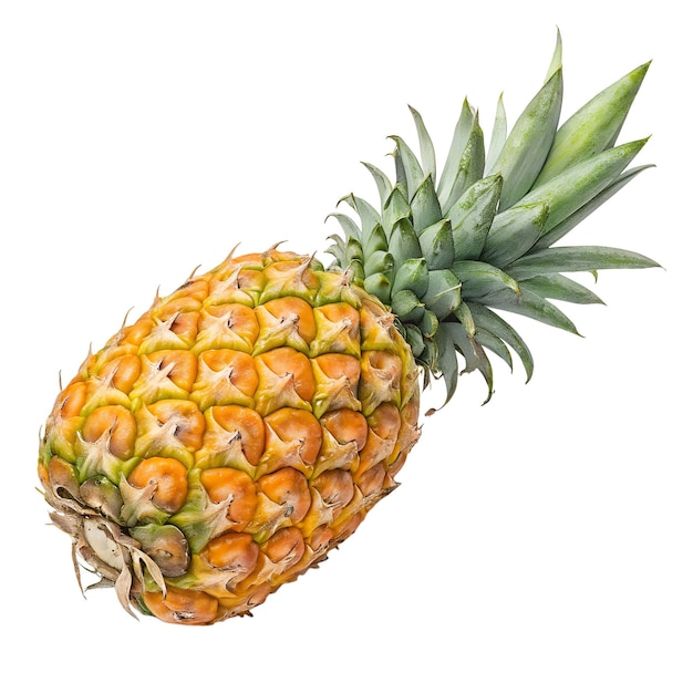 Un ananas doré mûr isolé sur un fond blanc