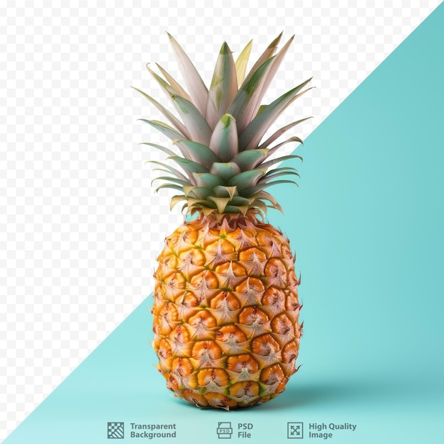 Ananas una fruta tropical aislada sobre fondo transparente