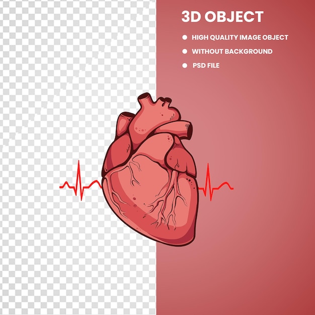 PSD anatomia do desenho do coração