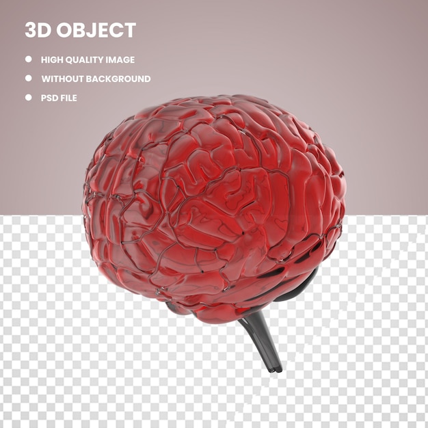 PSD anatomie du cerveau en verre rouge 3d