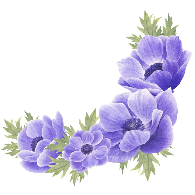 PSD anémona y dahlia clipart de flores de colores