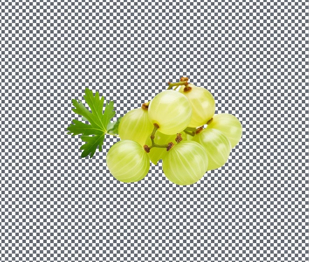 Angostura natural y fresca aislada sobre un fondo transparente
