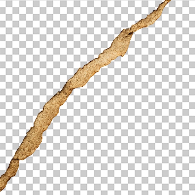 Ángulo de desgarro del papel vectorial