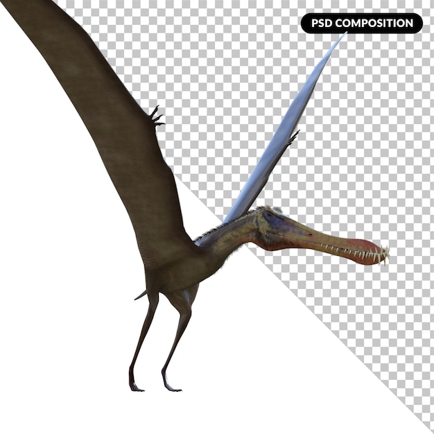 Anhanguera isolato rendering 3D