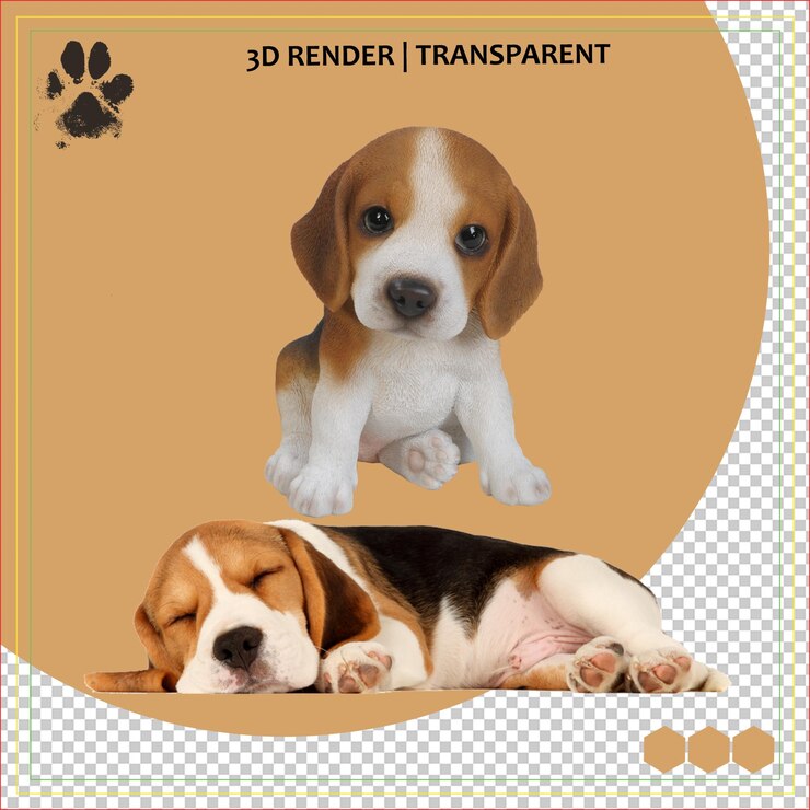 PSD animais de estimação e amantes de cães guia de raças treinamento e dicas veterinárias para todos os pais de animais de estimação