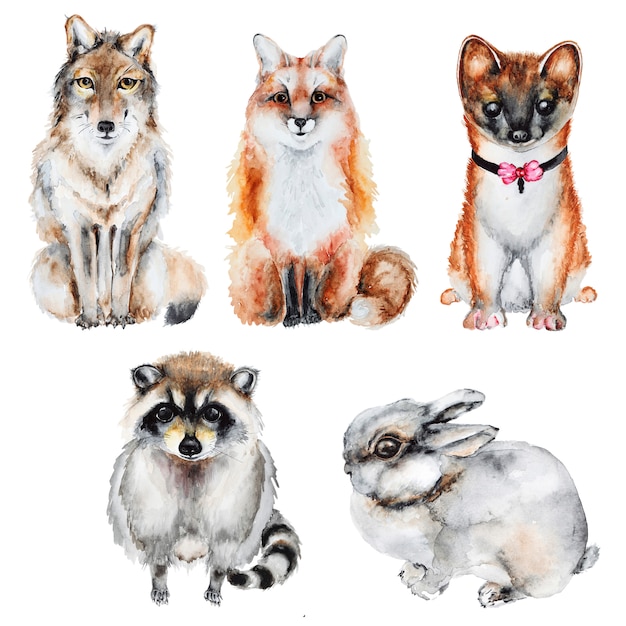 Animais selvagens de peles em aquarela