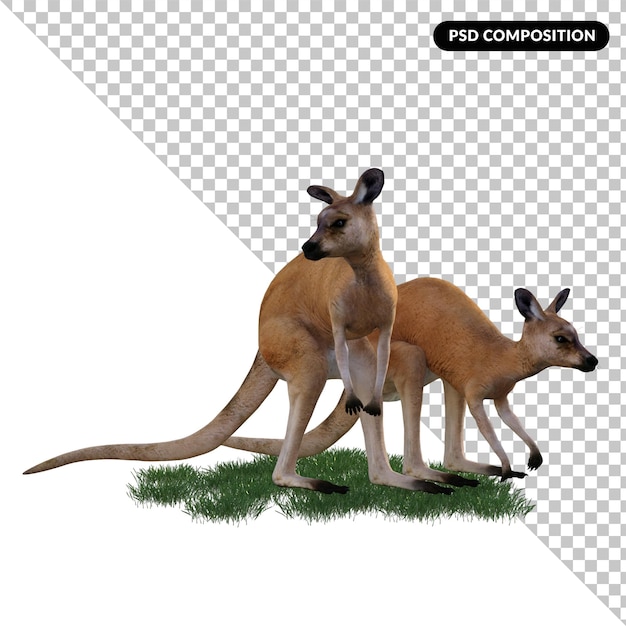 PSD animal canguru isolado 3d