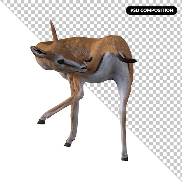 Animal gacela aislado 3d