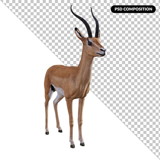 PSD animal gacela aislado 3d