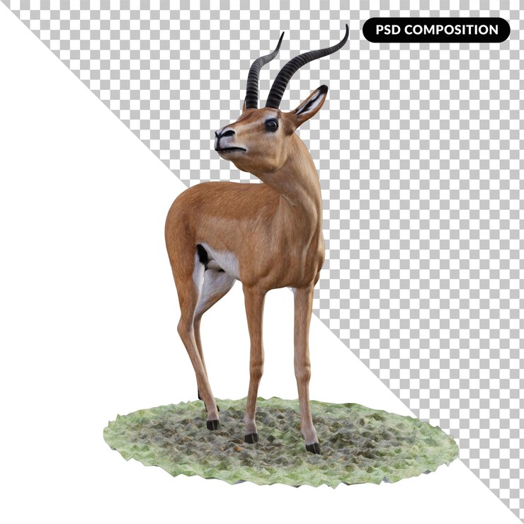 PSD animal gacela aislado 3d