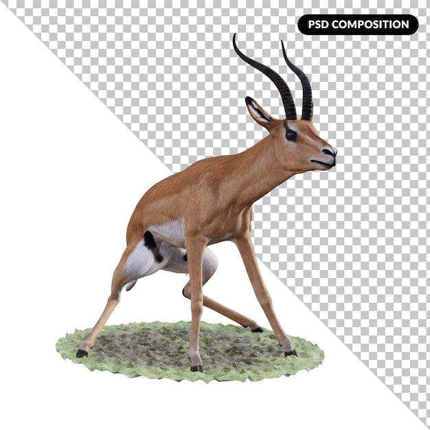 Animal gacela aislado 3d