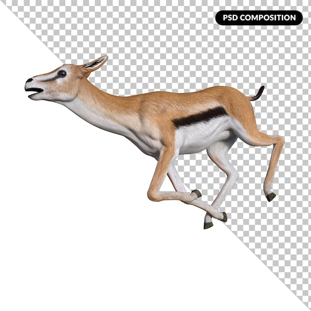 PSD animal gazela isolado 3d