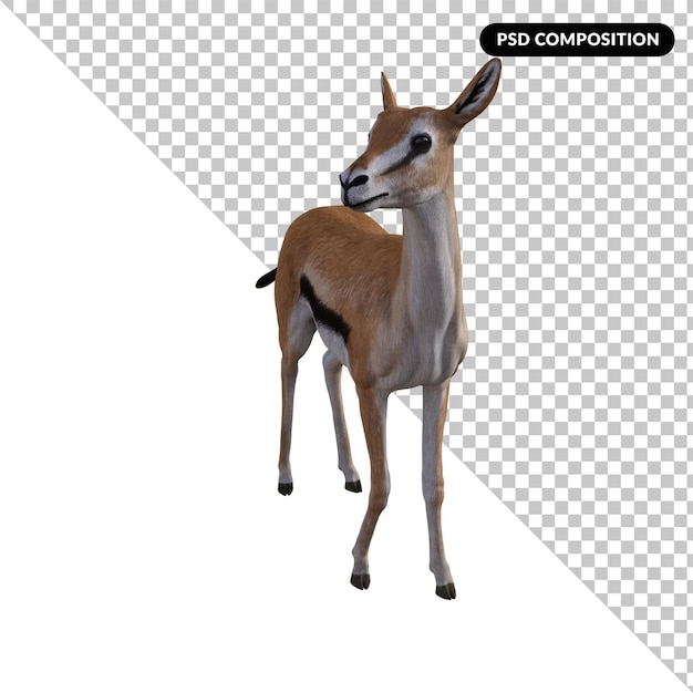 PSD animal gazela isolado 3d