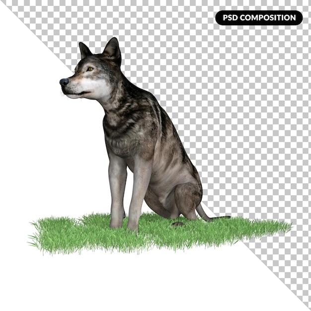 PSD animal lobo isolado 3d