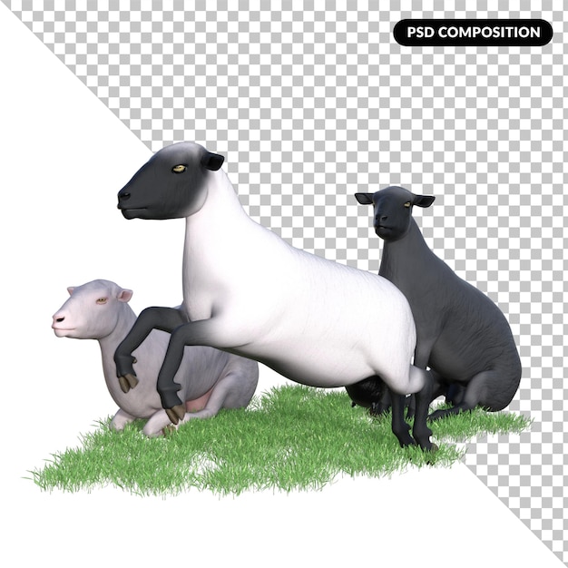 Animal de oveja aislado 3d