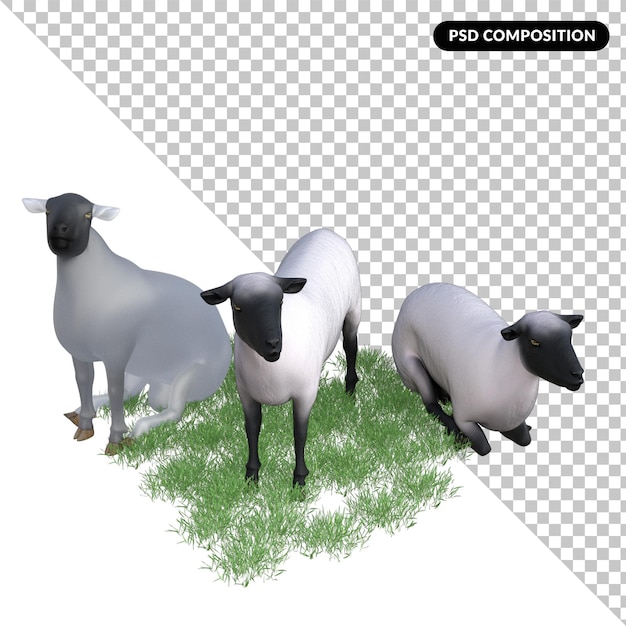 PSD animal de oveja aislado 3d