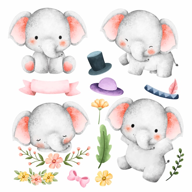 Animal Safari Cute (Safari de Animais Engraçado)
