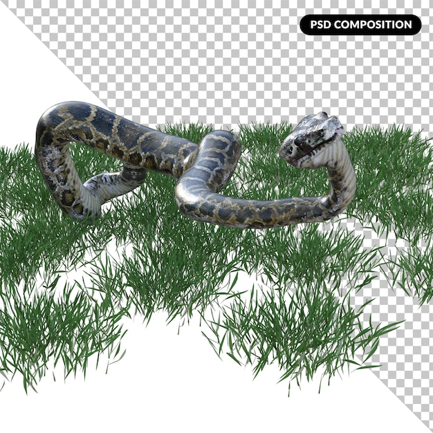 Animal serpiente aislado en 3d