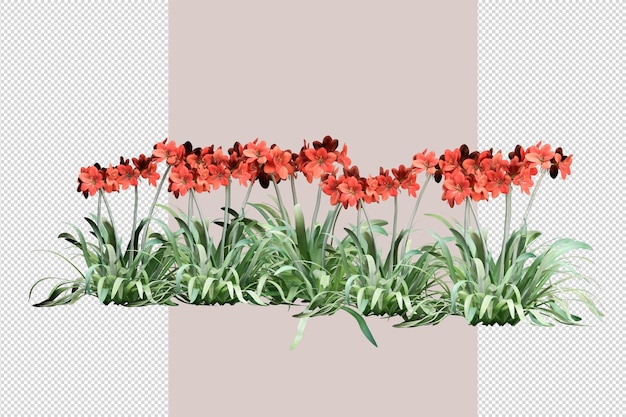 Ansicht von oben Blumen in 3D-Rendering isoliert