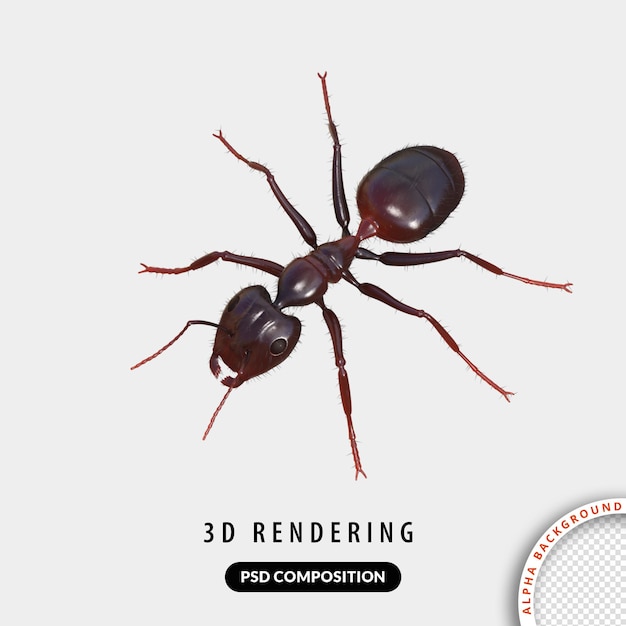 Ant 3D-Modelle