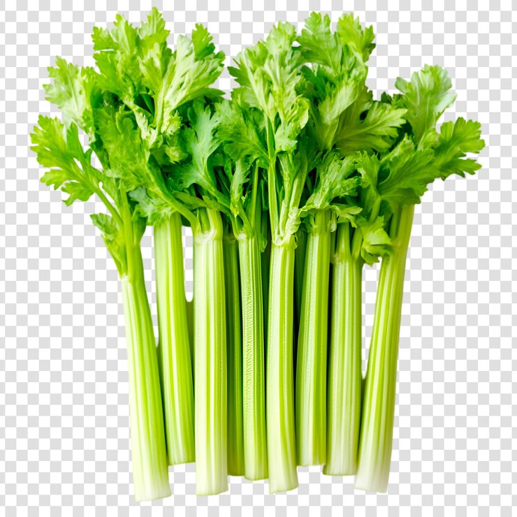 PSD el apio verde fresco es un ingrediente vegetal saludable