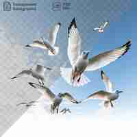 PSD aprender a voar um bando de pássaros brancos contra um céu azul com nuvens brancas usando suas asas e caudas para guiar o caminho