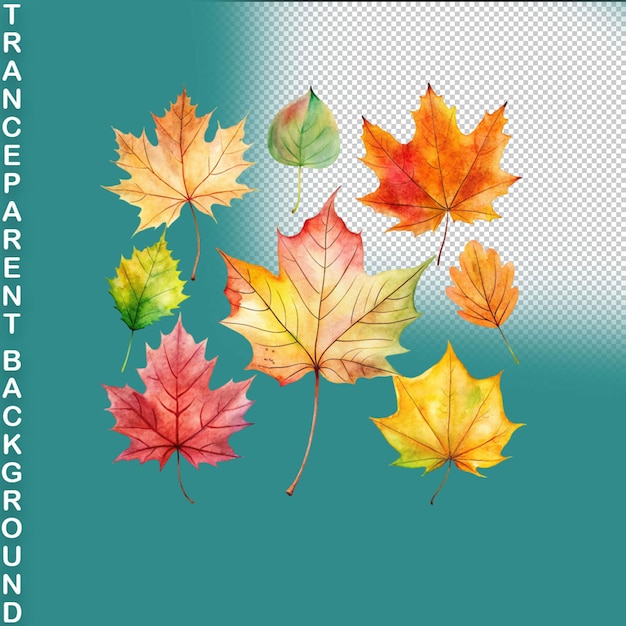 PSD aquarela colorida desenhada à mão folhas de outono em fundo transparente