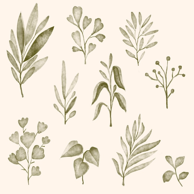 aquarela de folha de natureza
