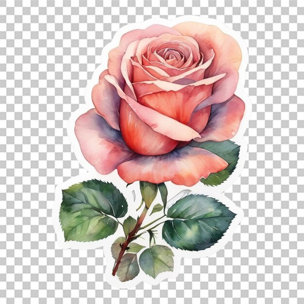 PSD aquarela desenho de adesivo de flores diferentes fundo transparente