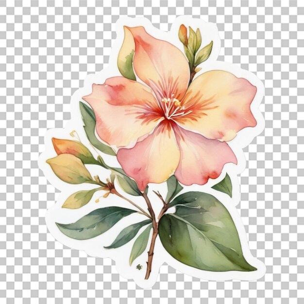 PSD aquarela desenho de adesivo de flores diferentes fundo transparente