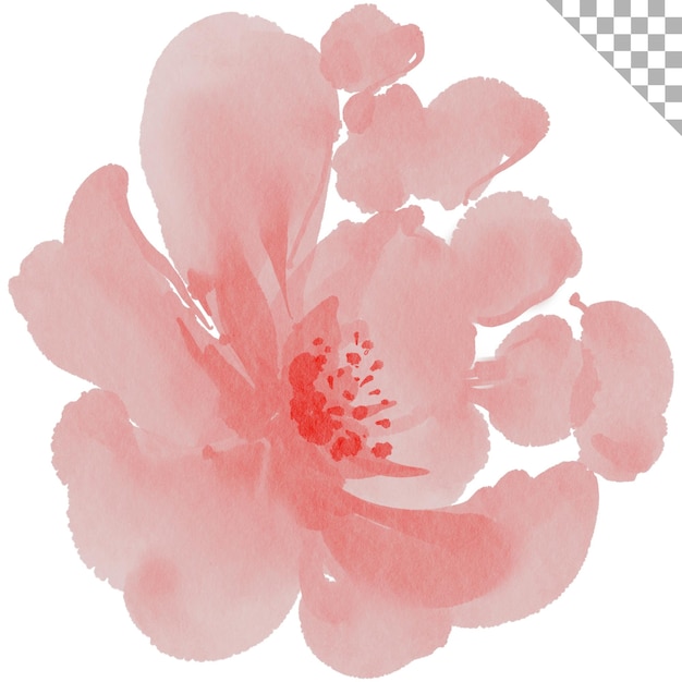 Aquarela flor rosa estilo de ilustração aquarela com tema floral