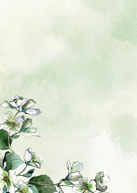 Aquarela Flores de jazmín sobre un fondo de textura verde