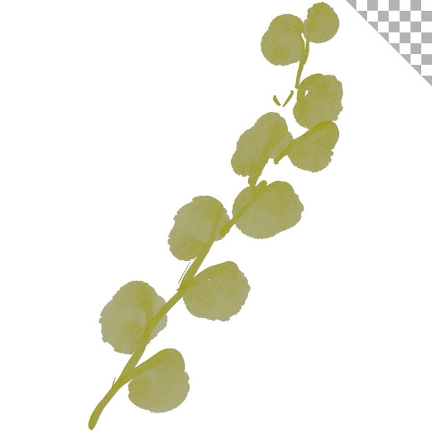 Aquarela folha verde Aquarela estilo de ilustração com tema floral