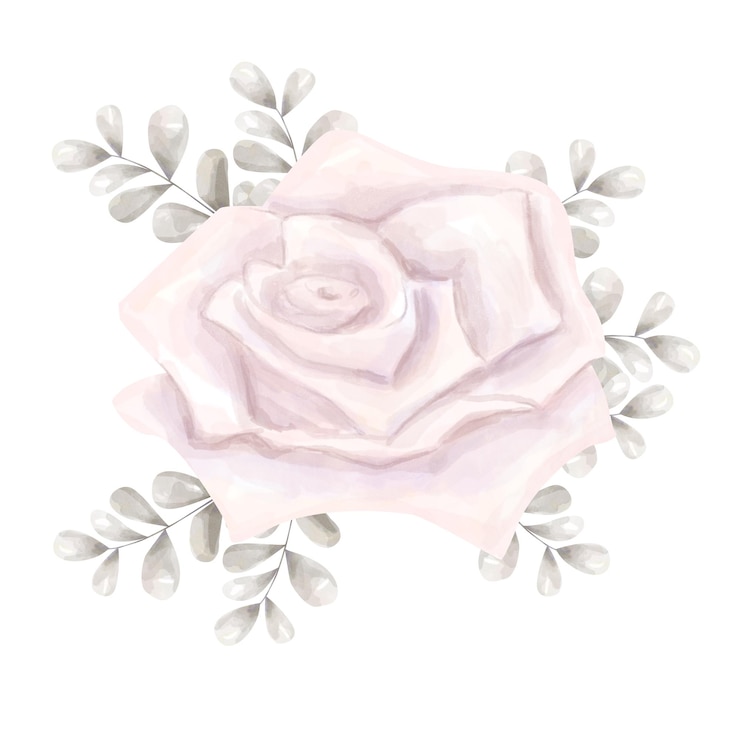 PSD aquarela ilustração digital grande bud aberto rosa rosa com ramos e folhas de prata