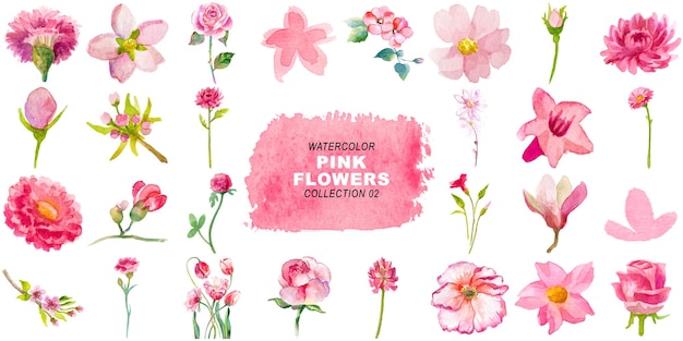 Aquarela pintada de flores cor-de-rosa clipart Elementos desenhados à mão isolados em fundo transparente