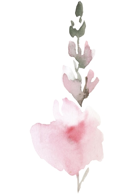 Aquarela rosa claro flor de jardín ilustración aislada elemento floral de boda y saludo