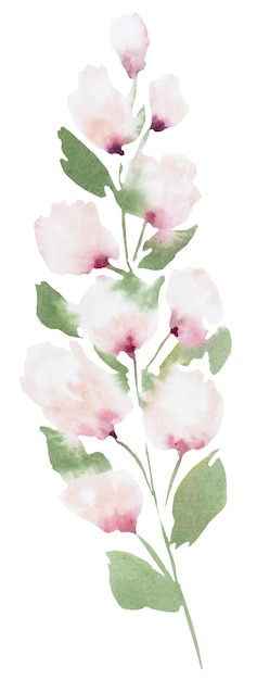 Aquarela rosa flor silvestre con hojas ilustración aislada floral ilustración de boda aislada