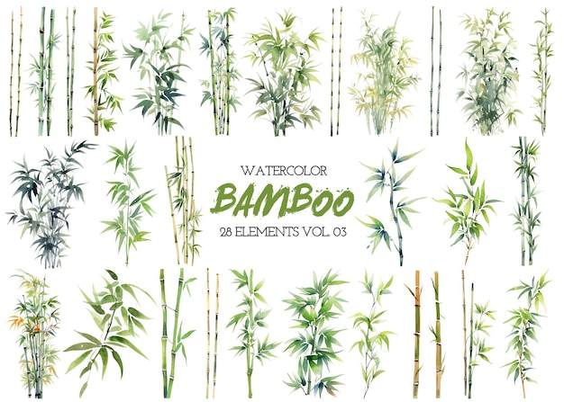 PSD aquarell bemalte bambus-clipart. handgezeichnete designelemente isoliert auf weißem hintergrund