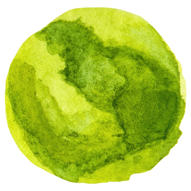 Aquarell bemalte Brüsseler Kühler Hand gezeichnetes frisches Lebensmittel-Design-Element isoliert auf durchsichtigem Hintergrund