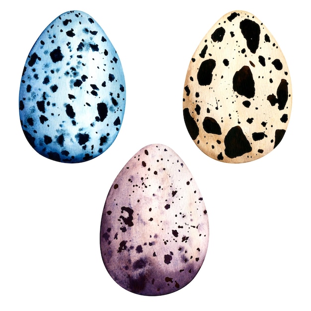 Aquarell Clipart Ostern mit farbigen Eiern Frühling handgezeichnete Illustration isoliert