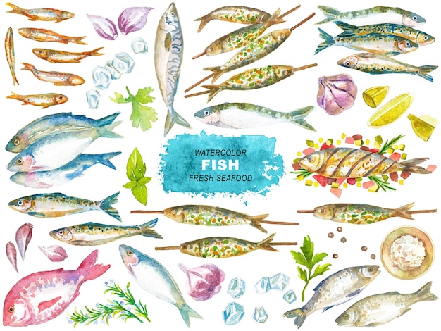 Aquarell-Fischklipp, handgezeichnetes Design, isoliert auf durchsichtigem Hintergrund