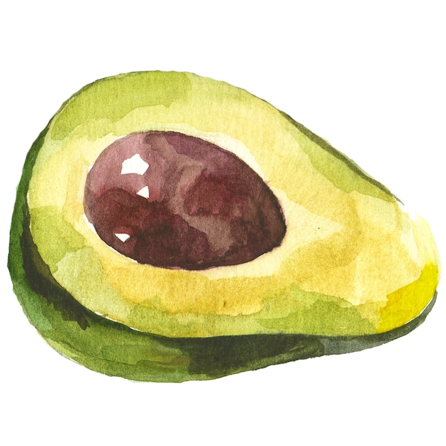 Aquarell gemalte Avocado Handgezeichnete Designelemente für frische Lebensmittel isoliert auf weißem Hintergrund