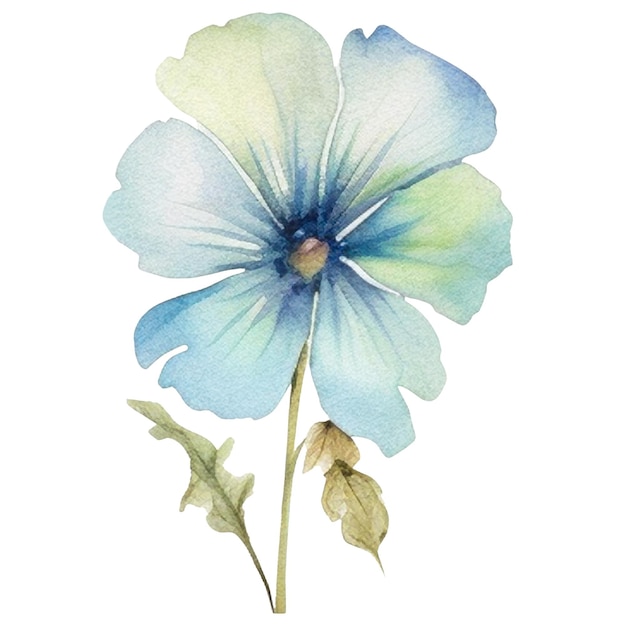 PSD aquarell gemalte blume hand gezeichnet blumen design elemente isoliert auf weißem hintergrund