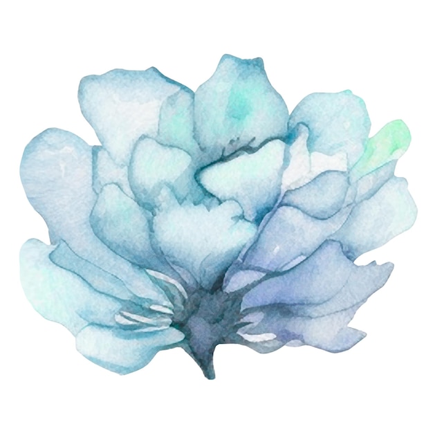 PSD aquarell gemalte blume hand gezeichnet blumen design elemente isoliert auf weißem hintergrund