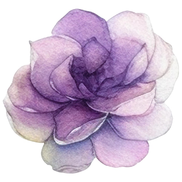 Aquarell gemalte Blume Hand gezeichnet Blumen Design Elemente isoliert auf weißem Hintergrund