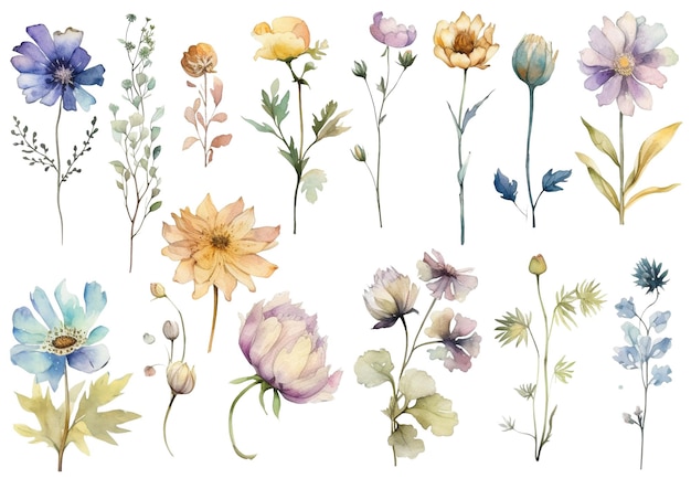 Aquarell gemalte blume handgezeichnete blumendesign-elemente isoliert auf weißem hintergrund