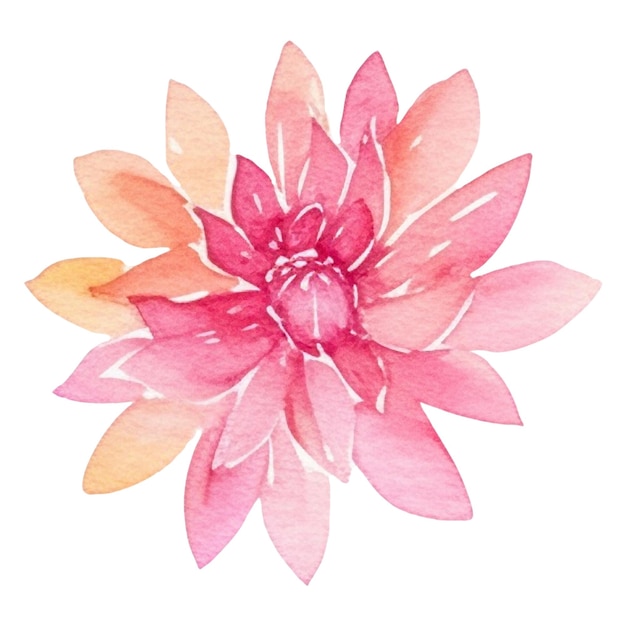 PSD aquarell gemalte dahlia-blumen handgezeichnetes designelement, isoliert auf durchsichtigem hintergrund