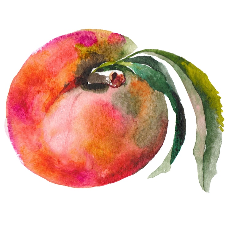 PSD aquarell gemalter pfirsich handgezeichnete designelemente für frische lebensmittel isoliert auf weißem hintergrund