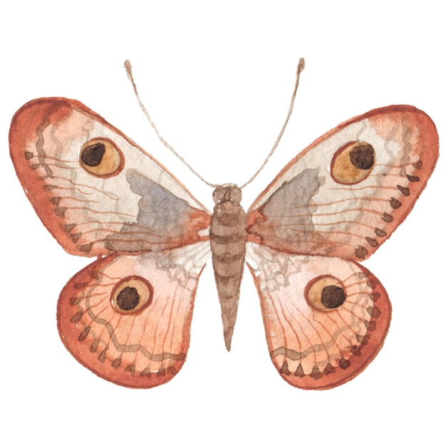 Aquarell gemalter schmetterling handgezeichnete designelemente isoliert auf weißem hintergrund