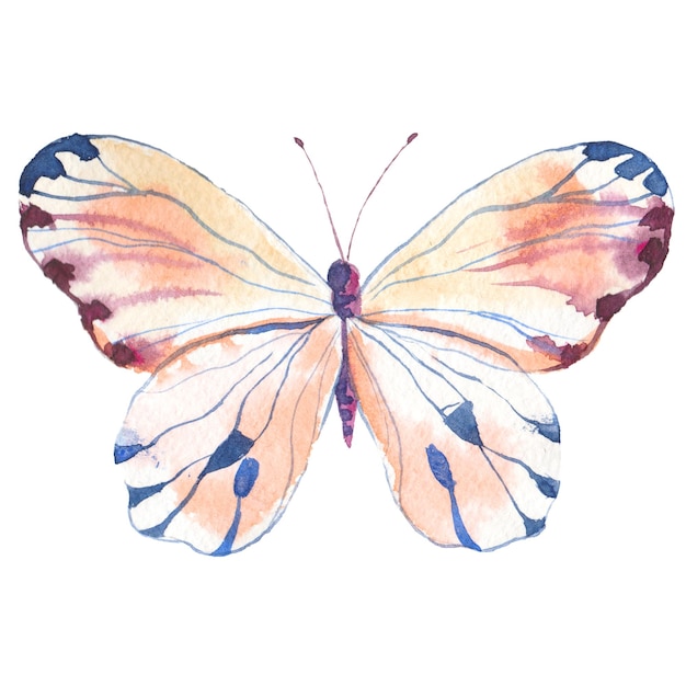 Aquarell gemalter Schmetterling Handgezeichnete Designelemente isoliert auf weißem Hintergrund